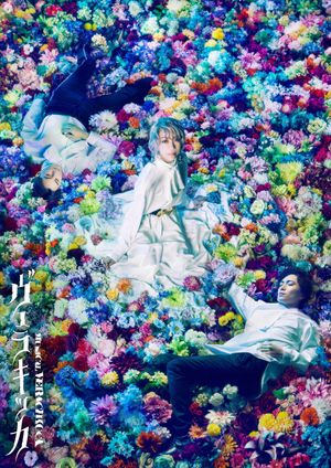 Musical “VERACHICCA”'s poster