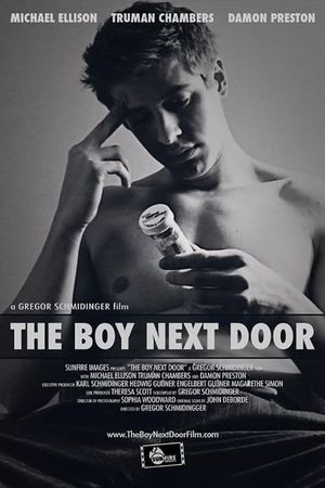 The Boy Next Door's poster image