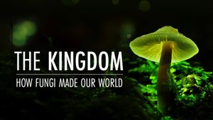 The Kingdom: How Fungi Made Our World's poster