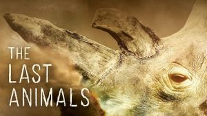 The Last Animals's poster