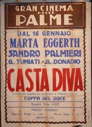 Casta diva's poster