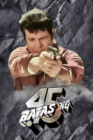 The Law of .45's poster