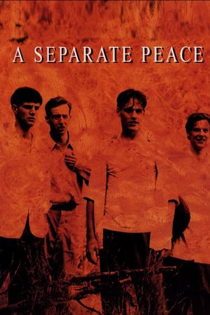 A Separate Peace's poster image