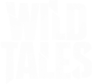 Wild Tales's poster