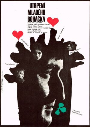 Young Bohácek's Sufferings's poster