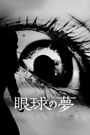 The Eye's Dream's poster