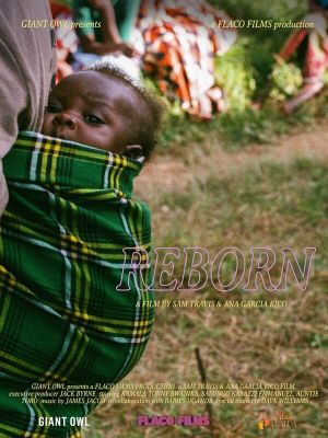 Reborn's poster