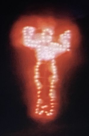 Ana Mendieta: Fuego de Tierra's poster