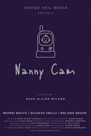 Nanny Cam's poster image