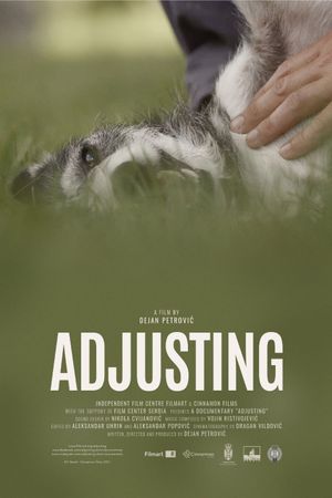 Adjusting's poster