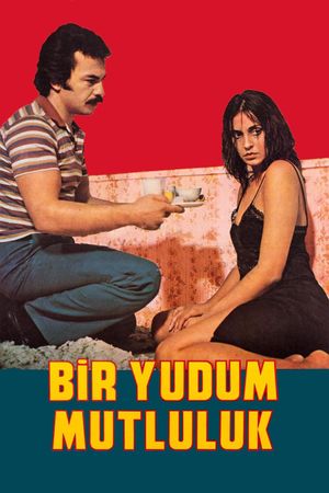 Bir Yudum Mutluluk's poster