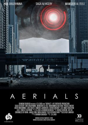Aerials's poster