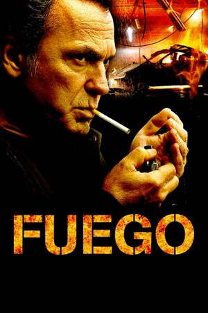Fire's poster