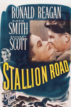 Stallion Road's poster