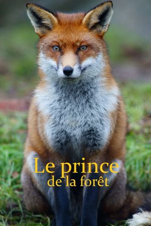 The Prince of the Forest's poster