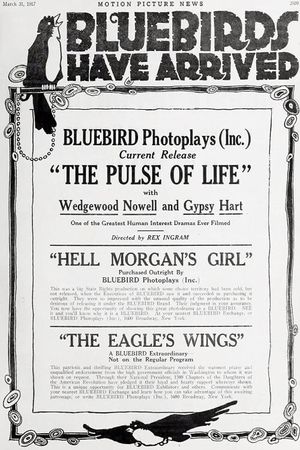 Hell Morgan's Girl's poster
