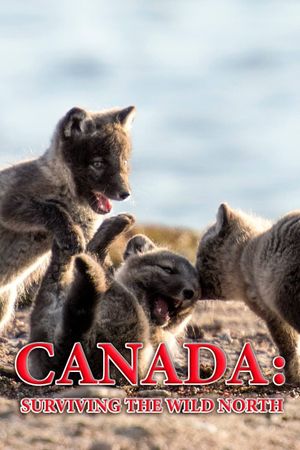 Canada: Surviving the Wild North's poster image