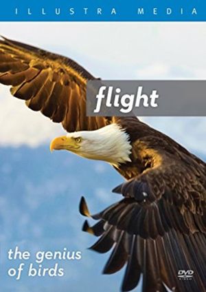 Flight: The Genius of Birds's poster
