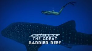 Ultimate Freedive: The Great Barrier Reef's poster