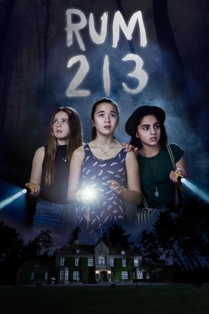 Rum 213's poster