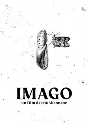 IMAGO's poster