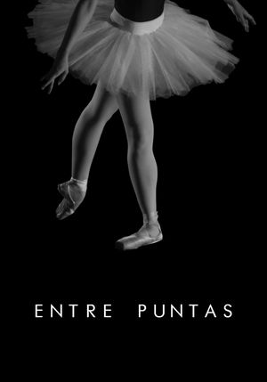 Entre Puntas's poster image