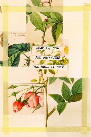 Who Are You and What Have You Done To Me?'s poster
