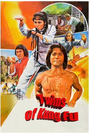 Twins of Kung Fu's poster