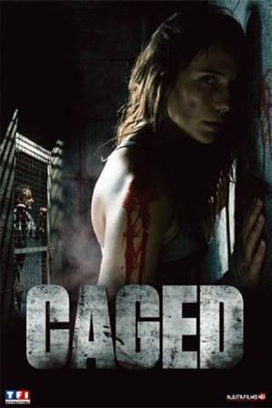 Captifs's poster