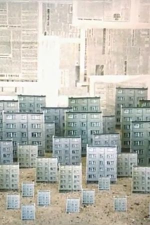 City's poster