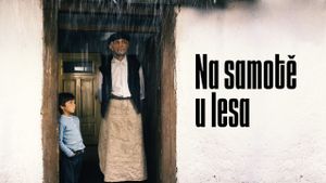 Na samote u lesa's poster