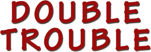 Double Trouble's poster