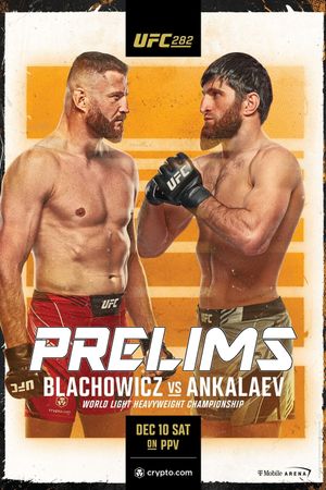 UFC 282: Blachowicz vs. Ankalaev's poster