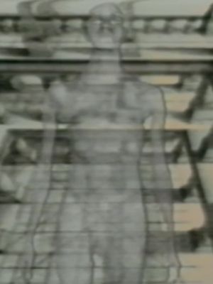 Viewers Of Optics's poster