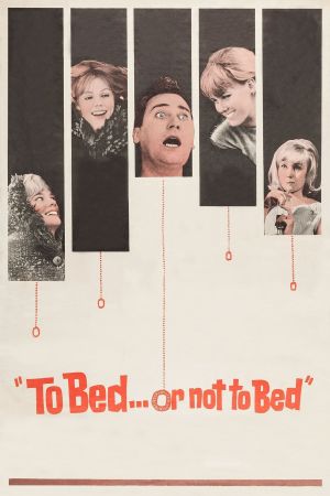 To Bed or Not to Bed's poster