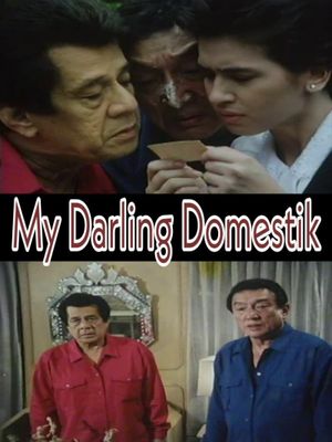 My Darling Domestik's poster