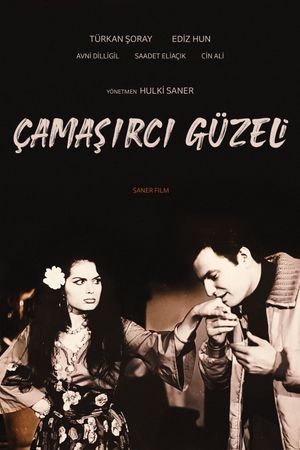 Çamasirci güzeli's poster