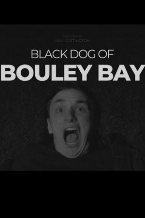 Black Dog of Bouley Bay's poster