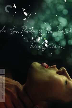 In the Realm of the Senses's poster