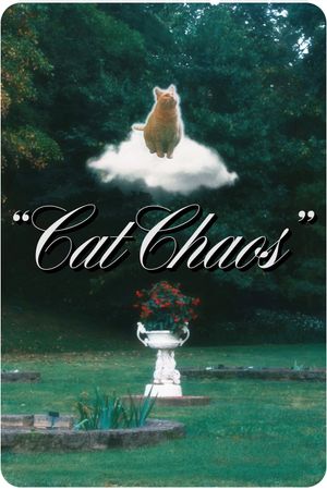 Cat Chaos's poster