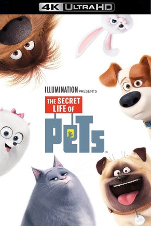 The Secret Life of Pets's poster