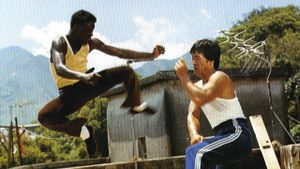 Soul Brothers of Kung Fu's poster