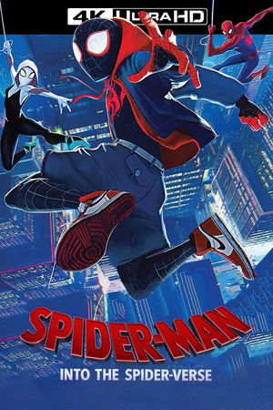 Spider-Man: Into the Spider-Verse's poster