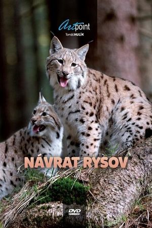 Návrat rysov's poster