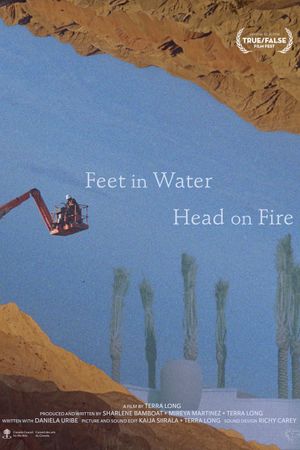 Feet in Water, Head on Fire's poster image