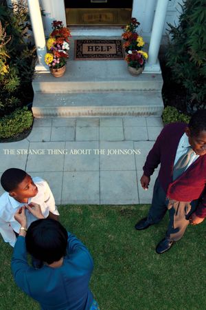 The Strange Thing About the Johnsons's poster