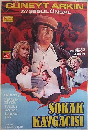 Sokak Kavgacisi's poster
