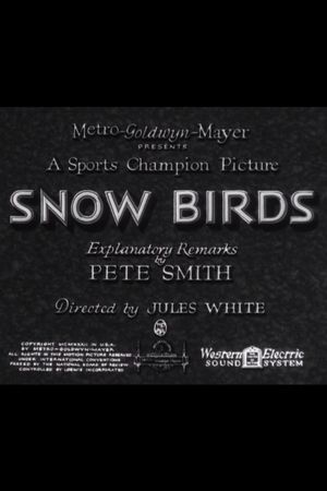 Snow Birds's poster