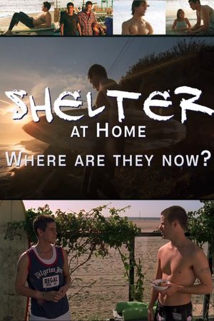 Shelter at Home: Where Are They Now?'s poster