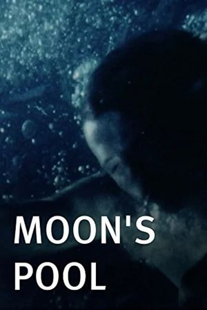 Moon's Pool's poster